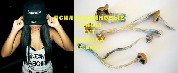 дживик Баксан