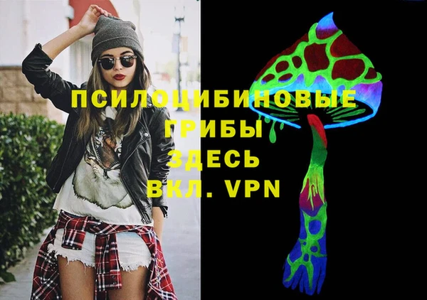 дурь Арсеньев