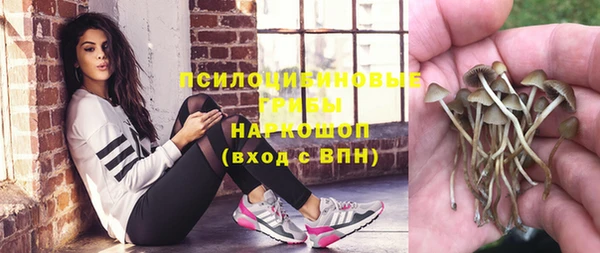 дживик Баксан
