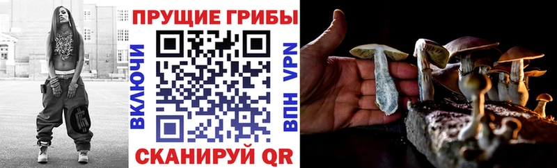 купить наркотик  Зеленодольск  МЕГА ONION  Галлюциногенные грибы прущие грибы 